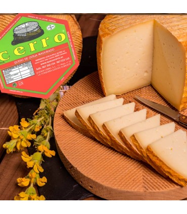 Queso Semicurado madurado corte con navaja de quesos cerro